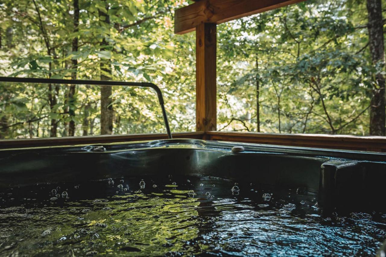 Blueberry Hideaway At 36 North Cabin - Hot Tub Purlear Экстерьер фото